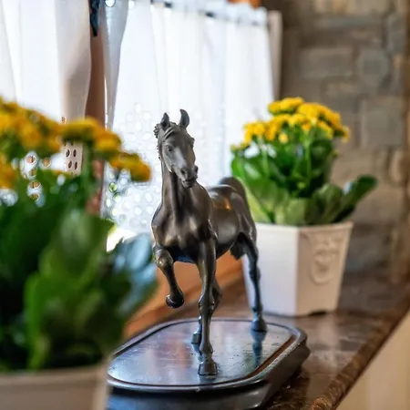 Goralska Zagroda Dağ evi Dzianisz